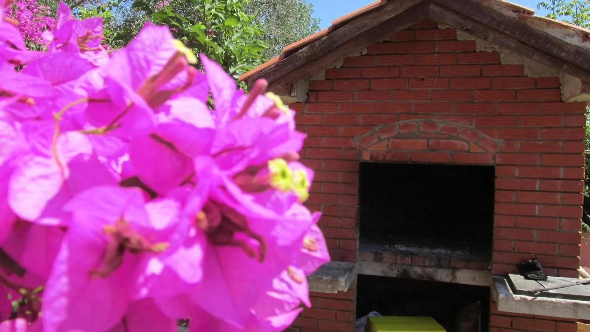 Apartmani Carmen Bibinje Apartamento