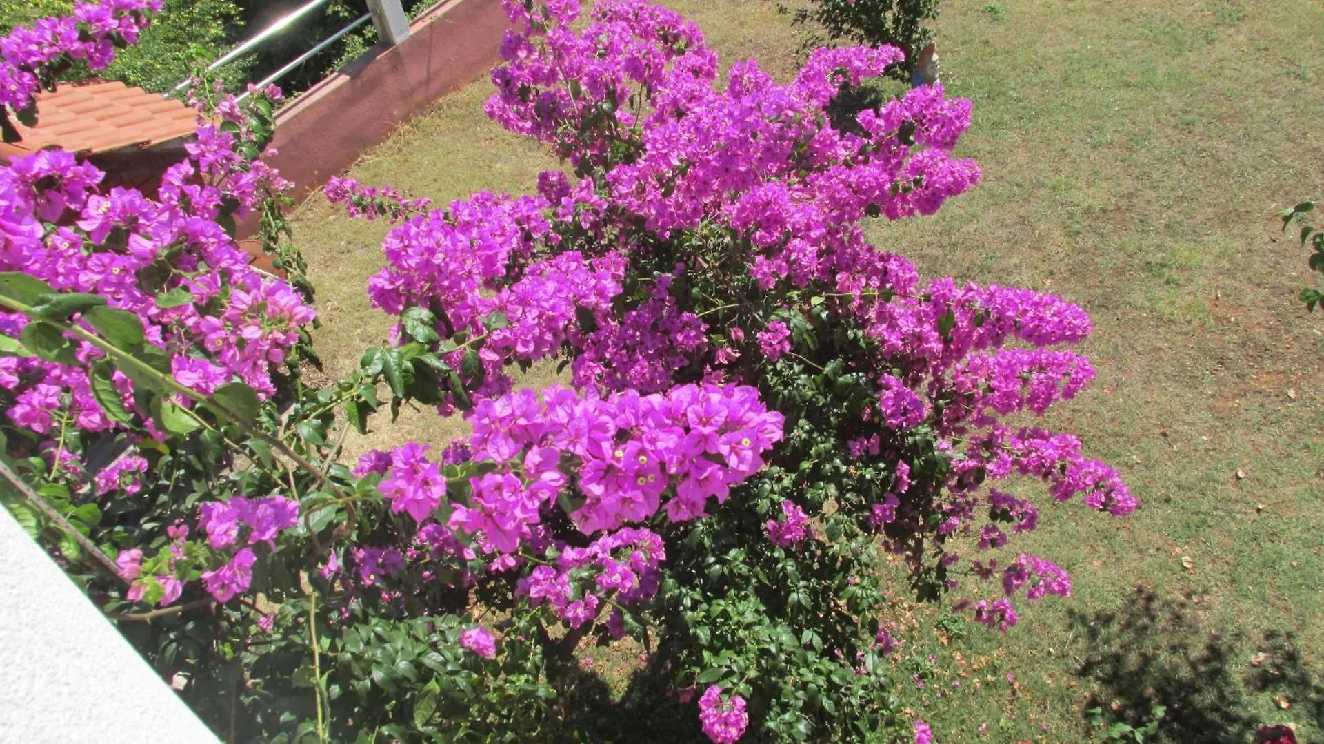 Apartmani Carmen Bibinje Croácia